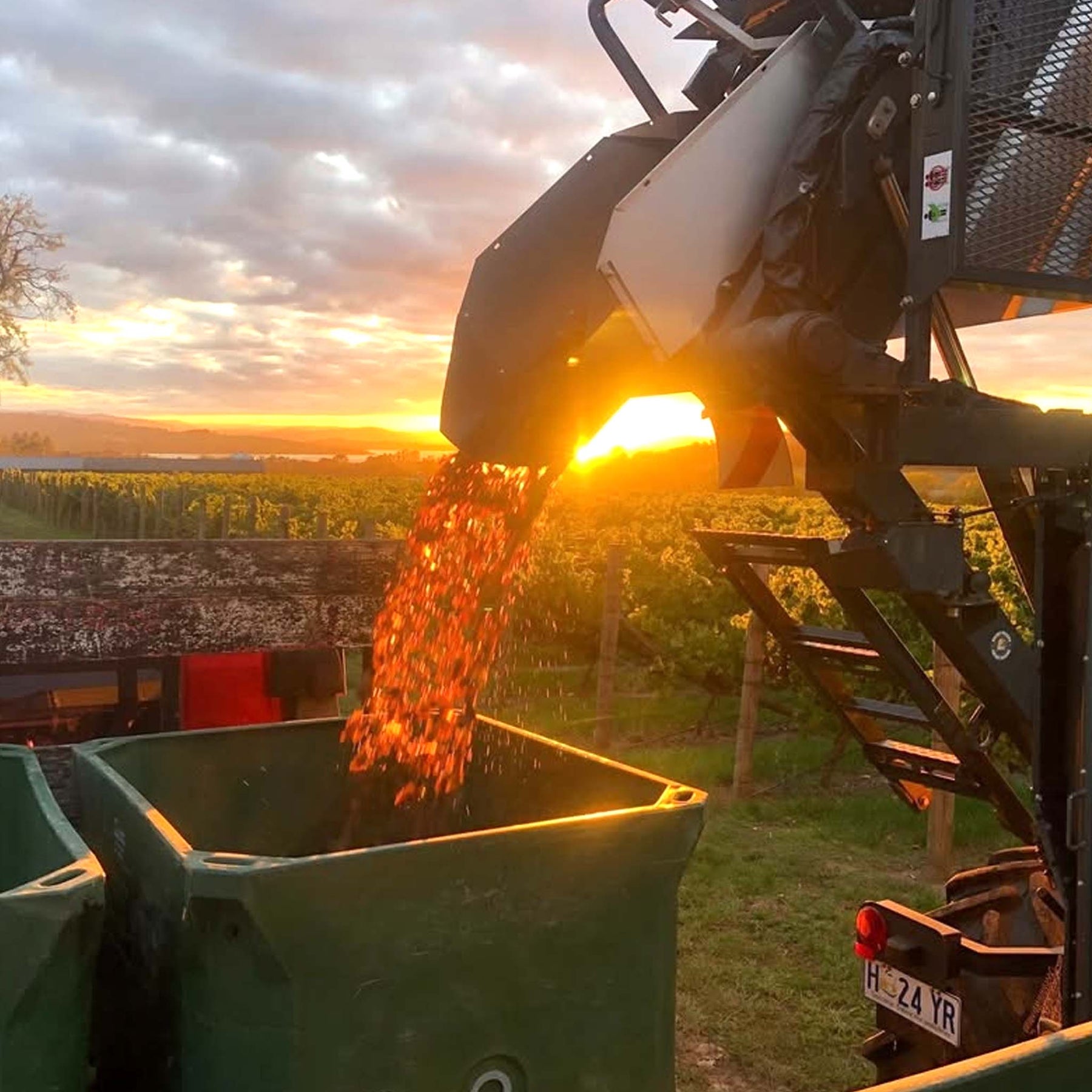 Frogmore Creek FGR Riesling 2022