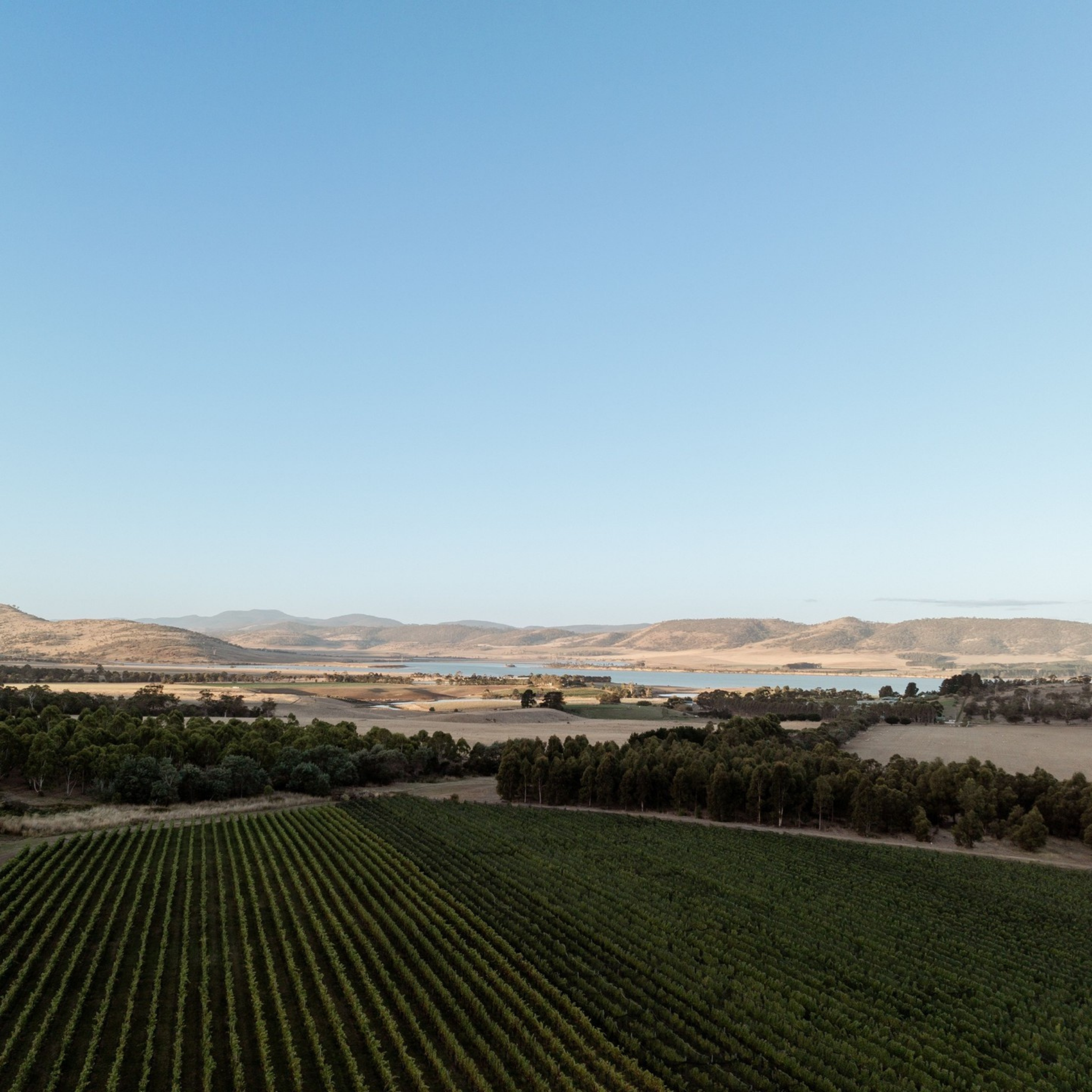 Frogmore Creek Sparkling Cuvee 2022