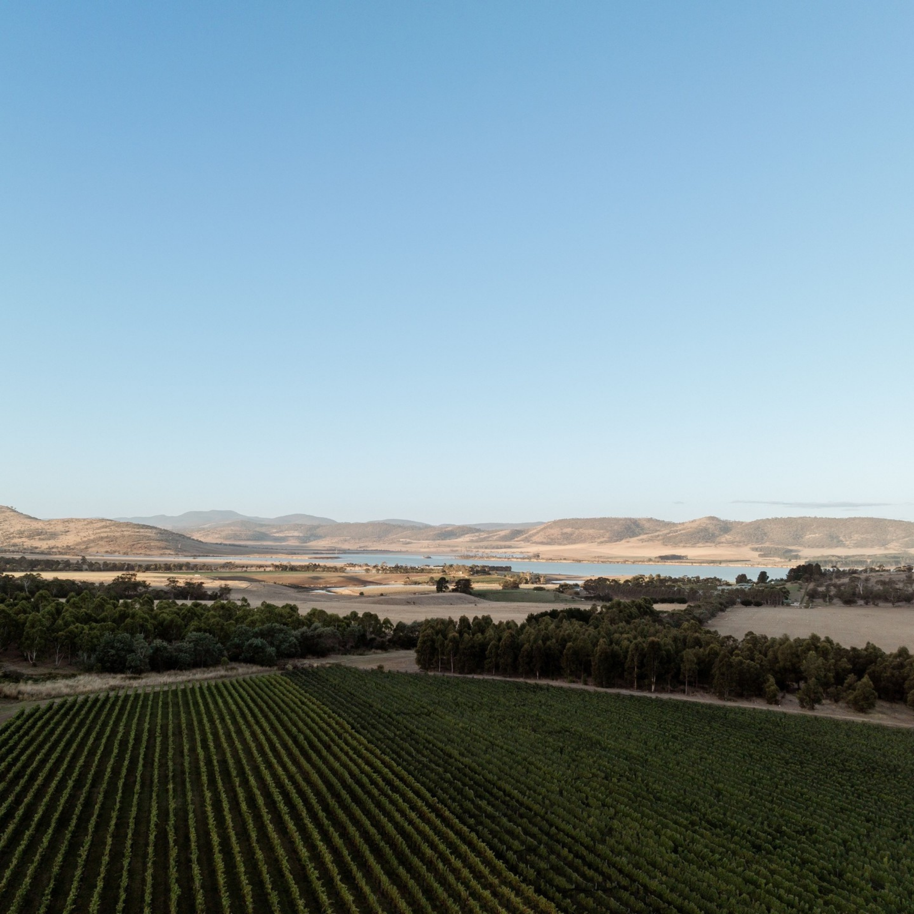 Frogmore Creek Sparkling Cuvee 2022