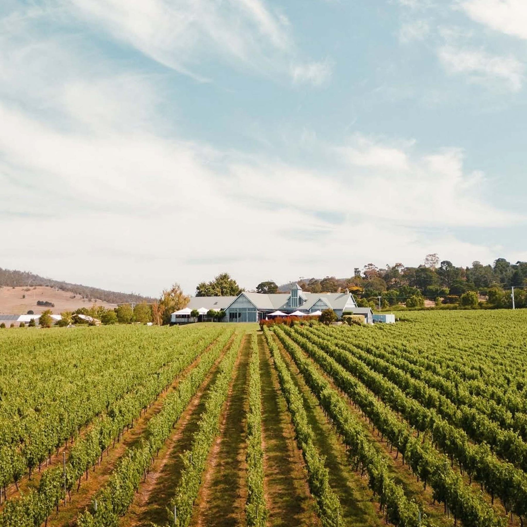 Frogmore Creek Sparkling Cuvee 2022