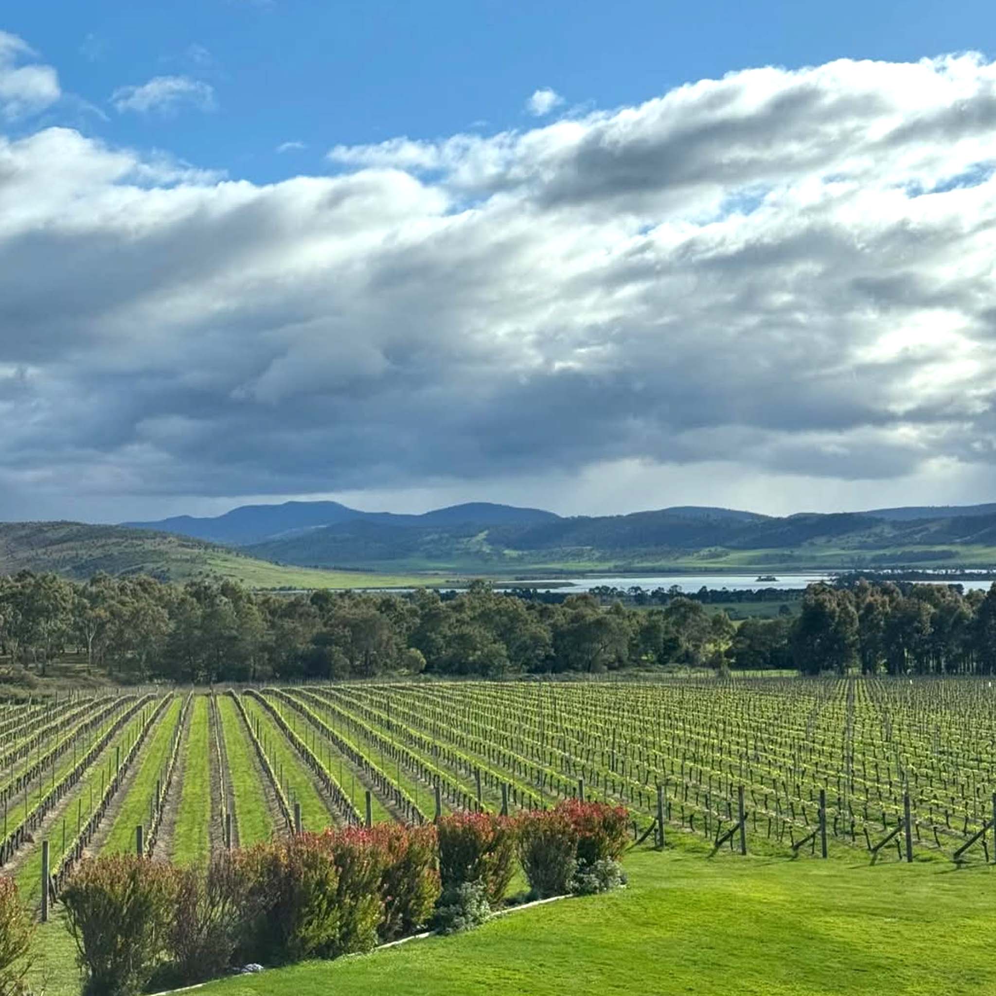 Frogmore Creek Single Block Series Pinot Noir 2022