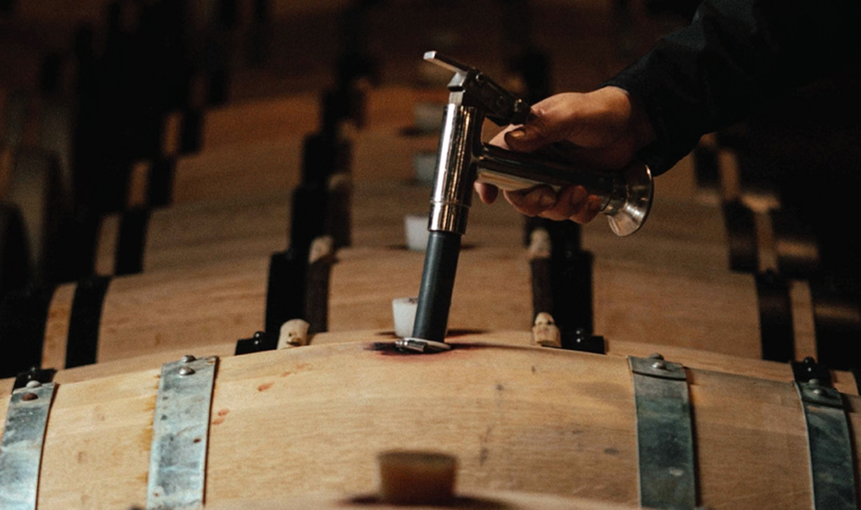 GAIA Wines brand story