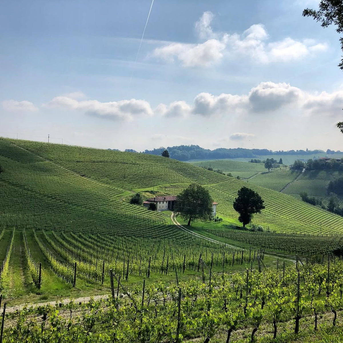 G.D. Vajra Barolo Ravera 2021