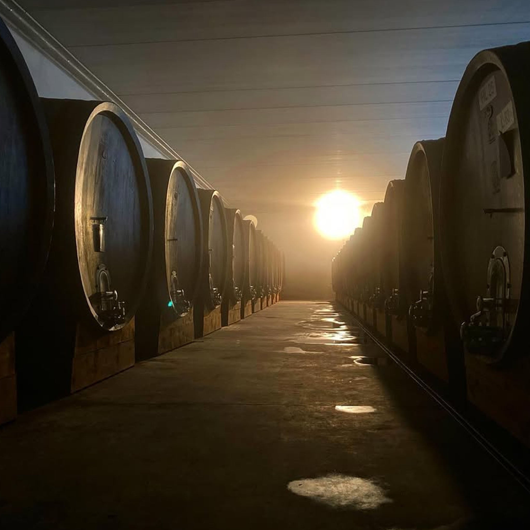 Philosophy | G.D. Vajra