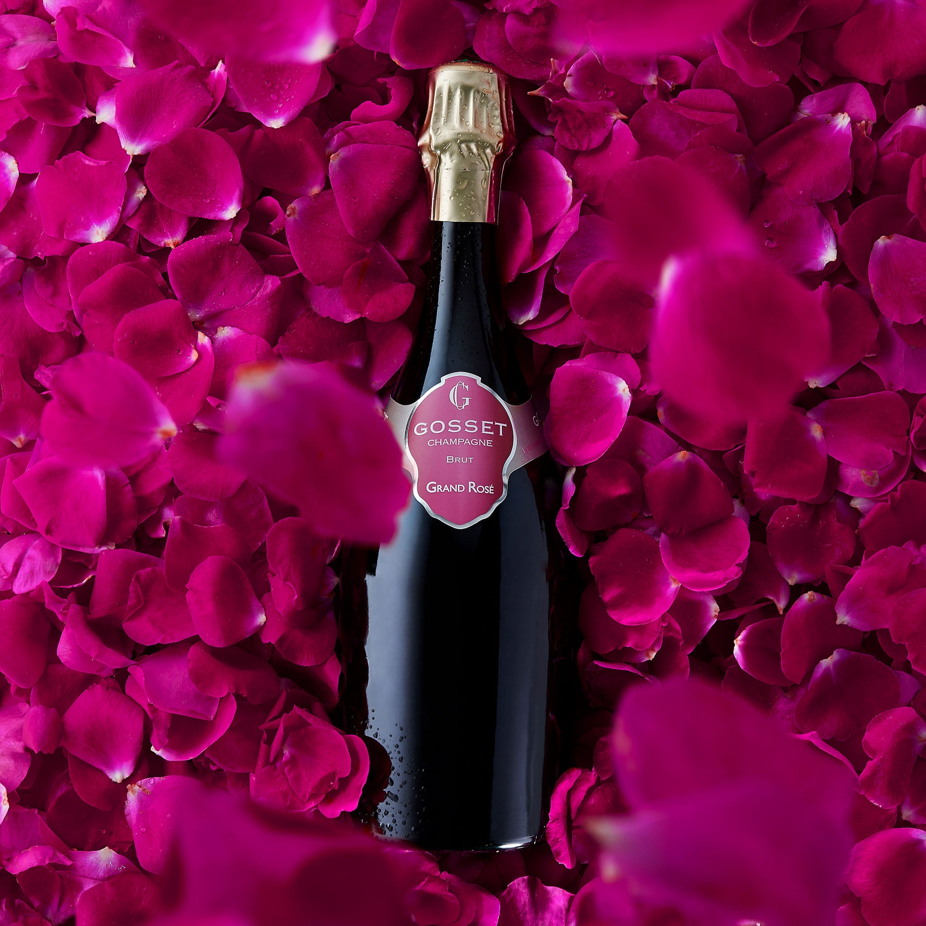 Gosset Grand Rose NV - Kent Street Cellars