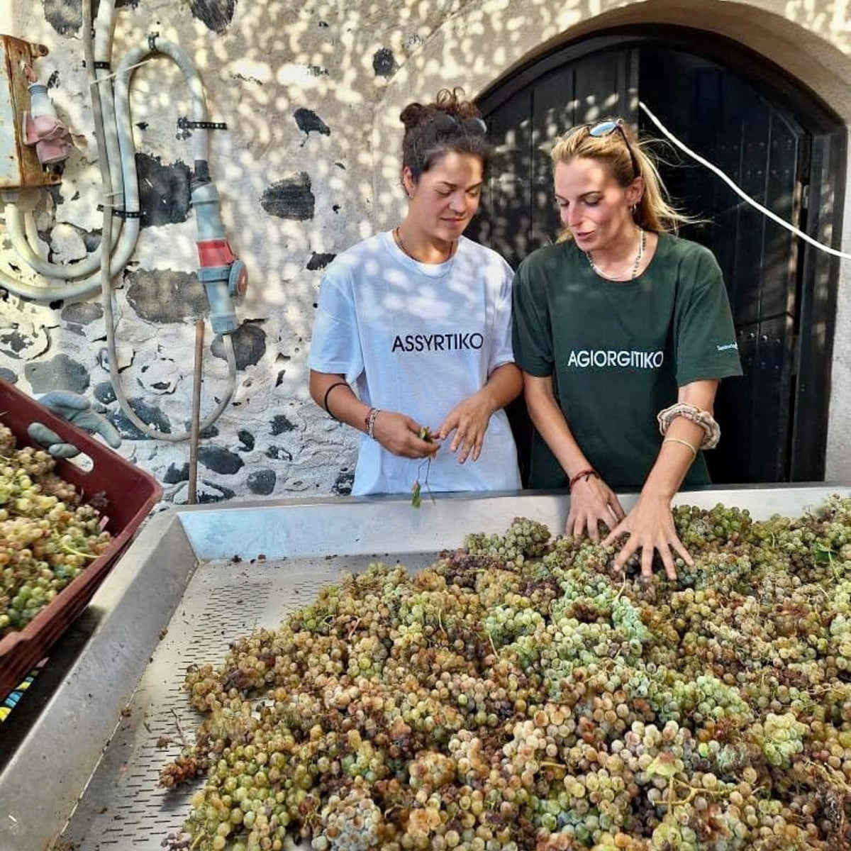 Gaia Thalassitis Submerged Assyrtiko 2021