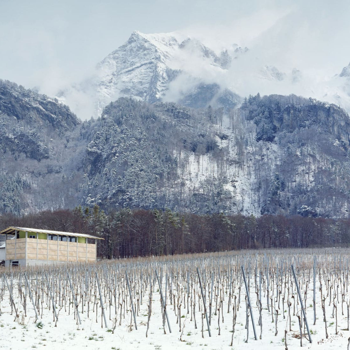 Gantenbein Pinot Noir 2024