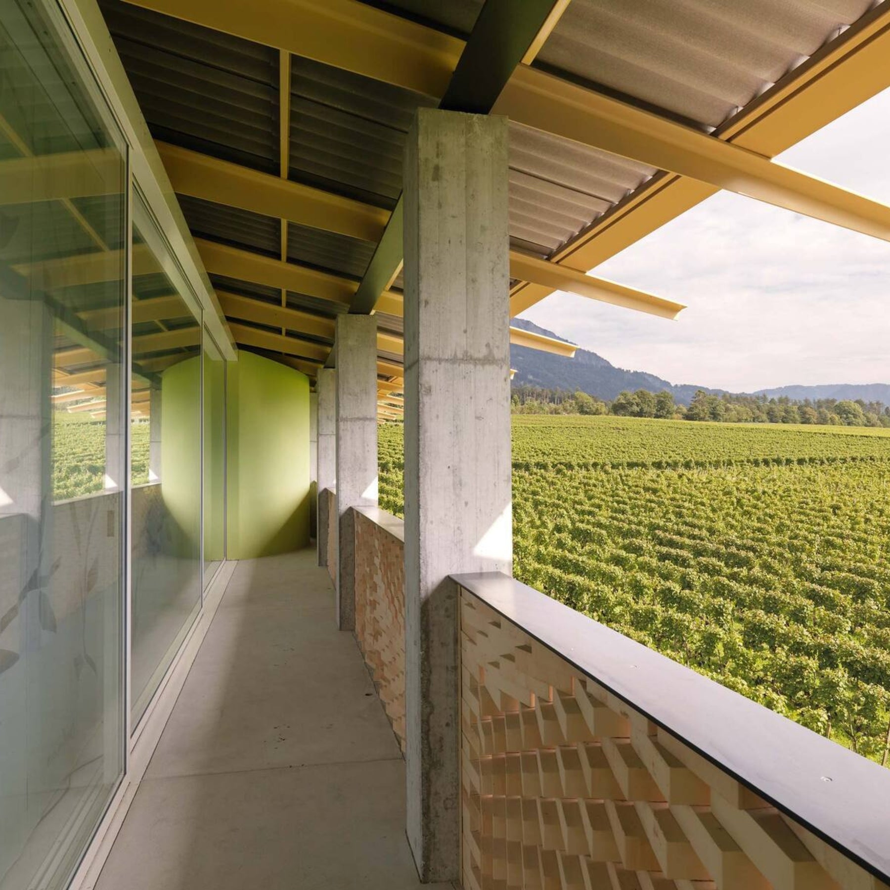 Gantenbein Pinot Noir 2024