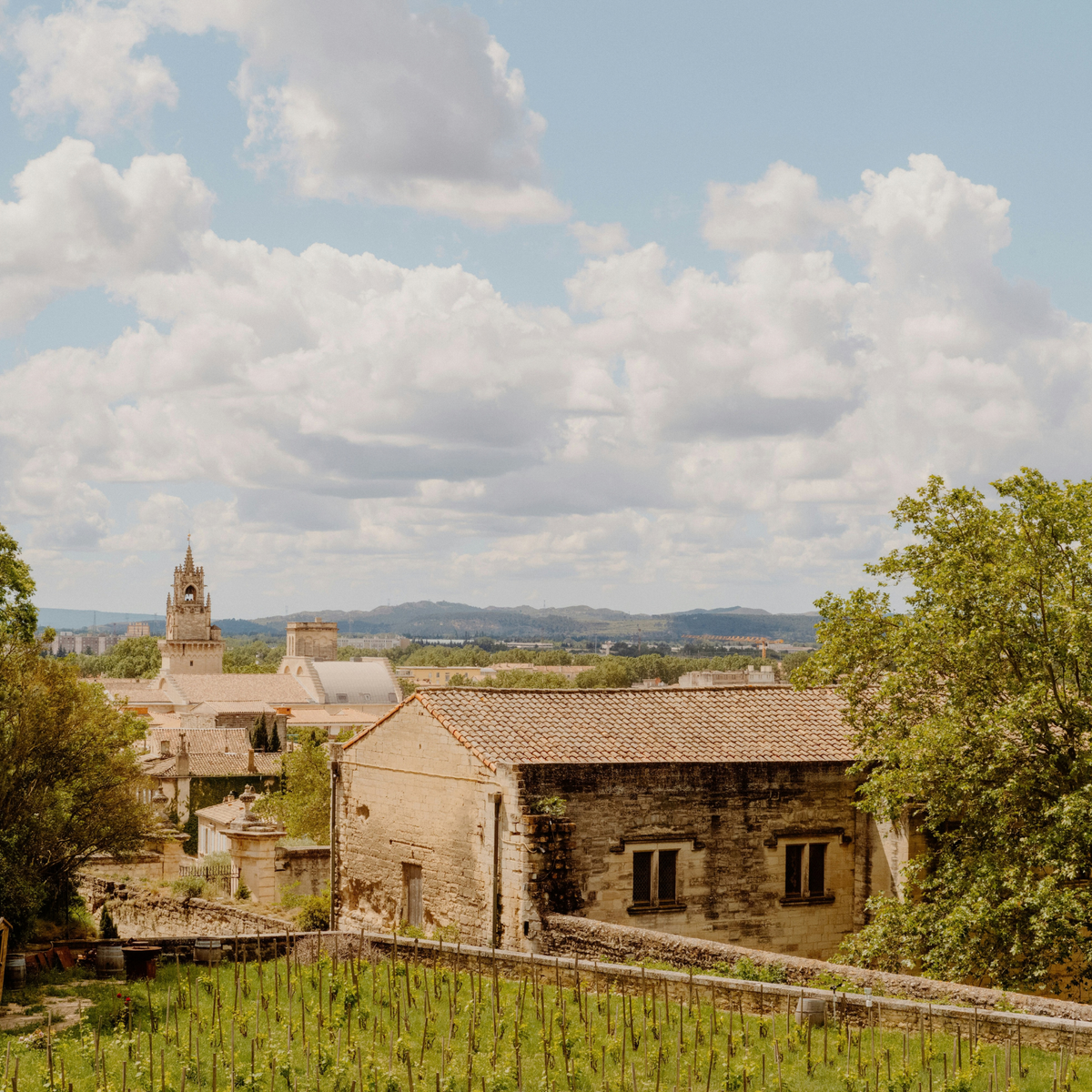 Domaine Pierre Usseglio ‘Premiere Pierre’ Châteauneuf-du-Pape Rouge 2021