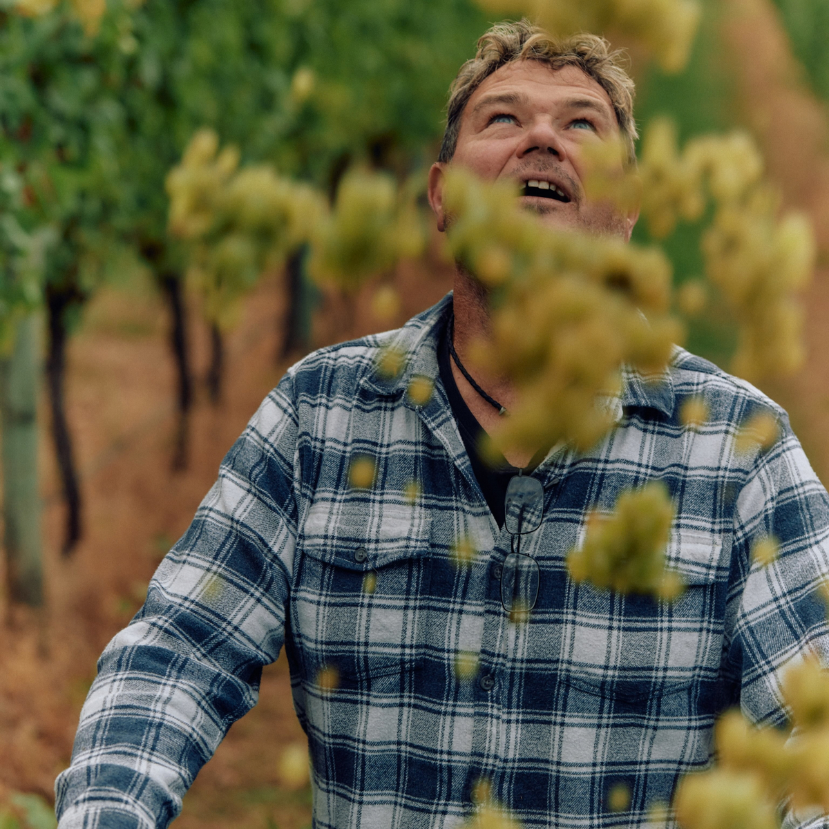 Giant Steps Yarra Valley LDR Pinot Noir Syrah 2026