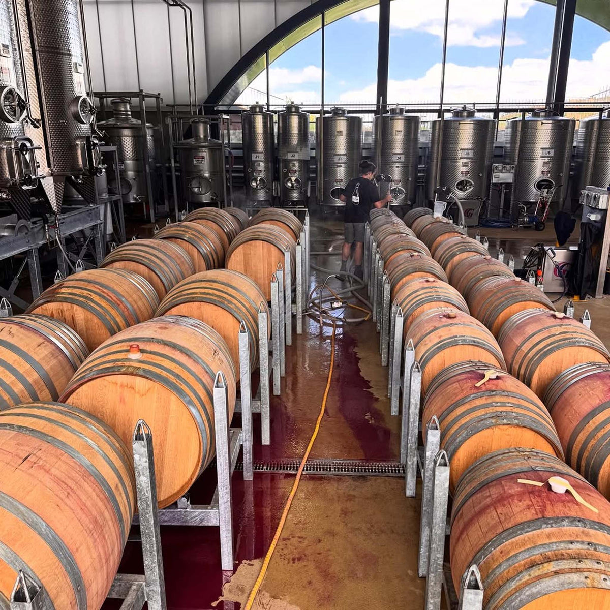 Giant Steps Yarra Valley Pinot Noir 2025