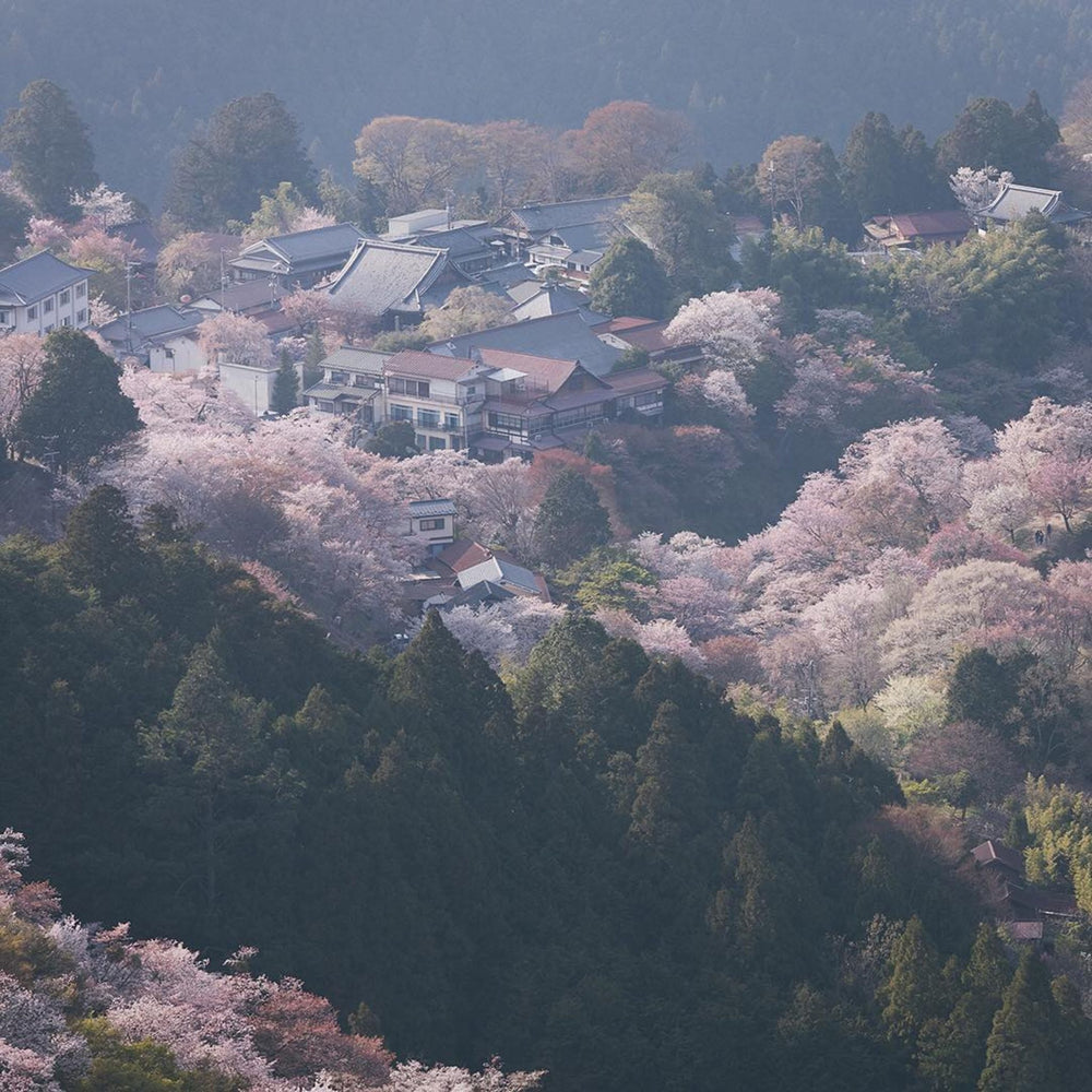 Harmonious, blossoming and subtle, the Hibiki Whisky range celebrates an unrivaled art of blending, fine craftsmanship and a sense of luxury - Kent Street Cellars