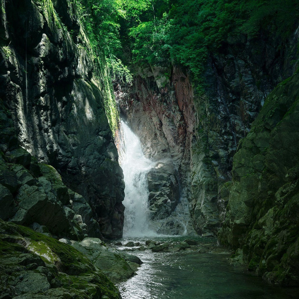 Hakushu Distillery is blessed with a very particular microclimate, verdant forests, and water offering a rare softness only made possible by filtration of rain and snow through thousand-year-old granite rocks - Kent Street Cellars