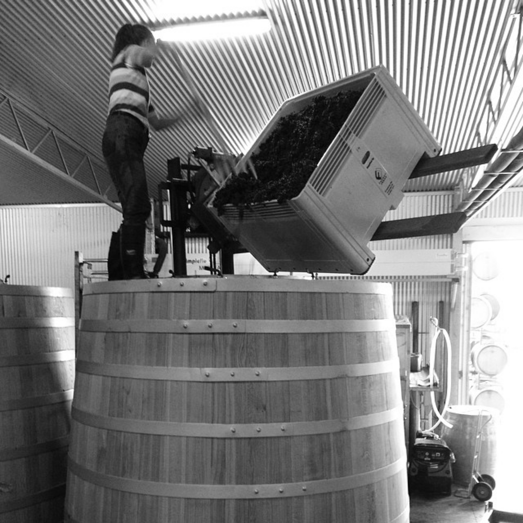 The Philosophy | Head Wines