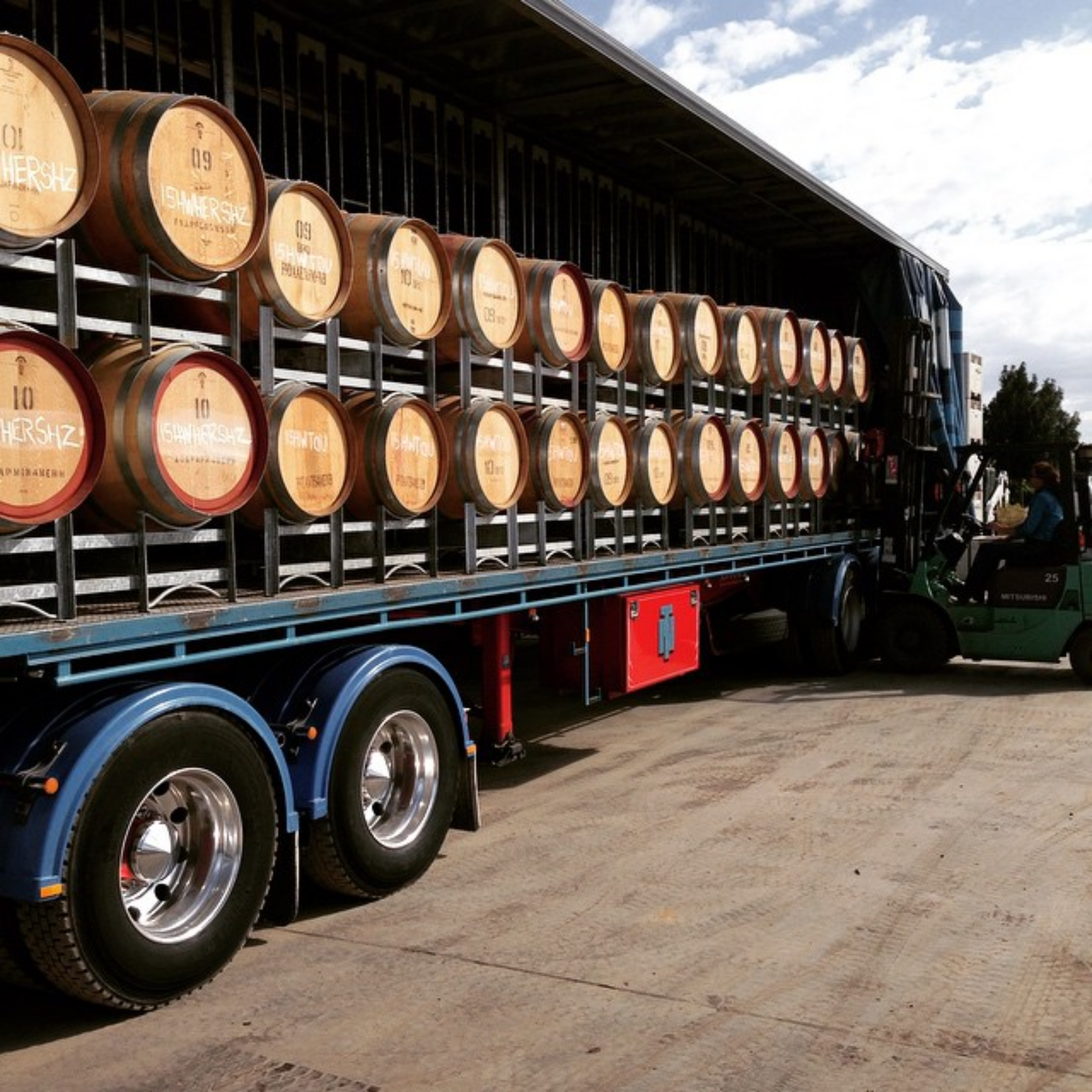Head Red Shiraz 2023