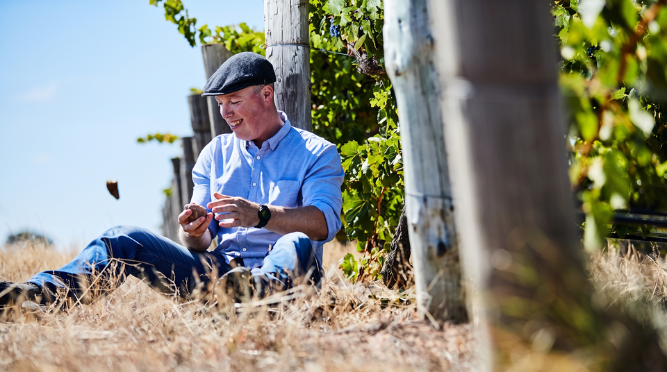 Head Wines brand story