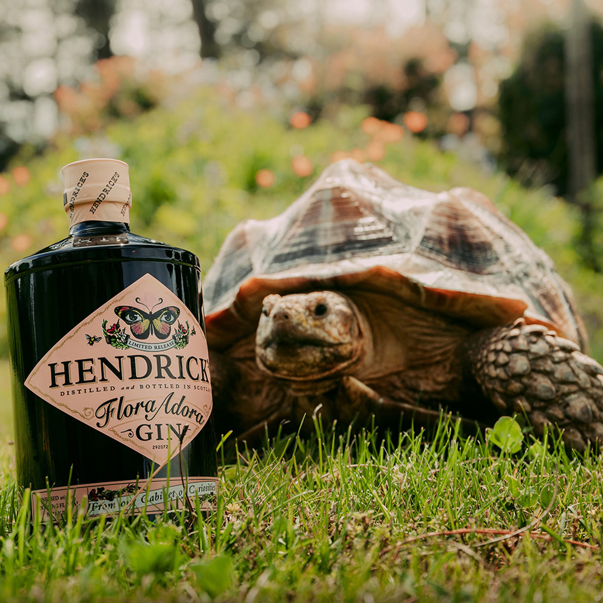 Hendrick's Flora Adora Gin 700ml