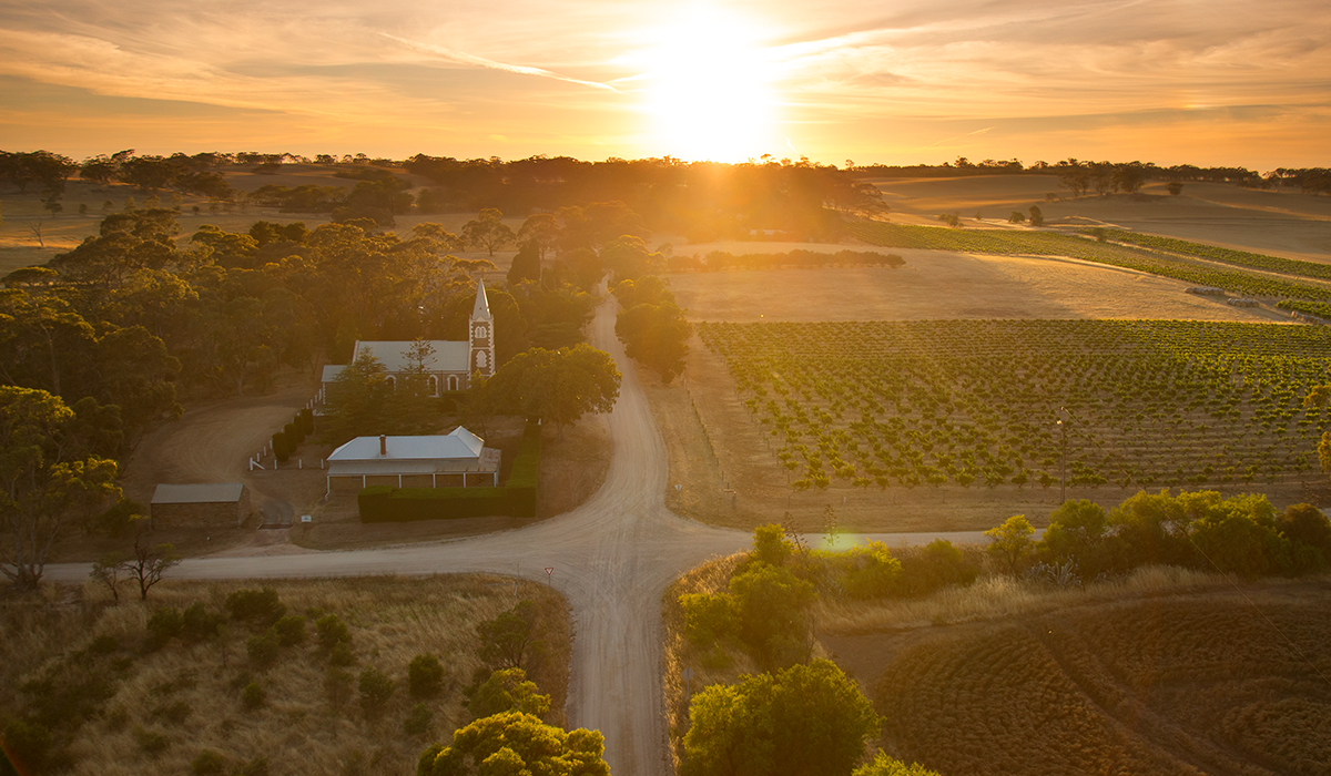 The Vineyard | Henschke Cyril 