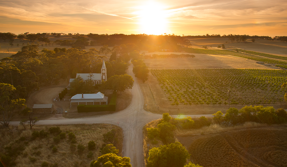 The Vineyard brand story