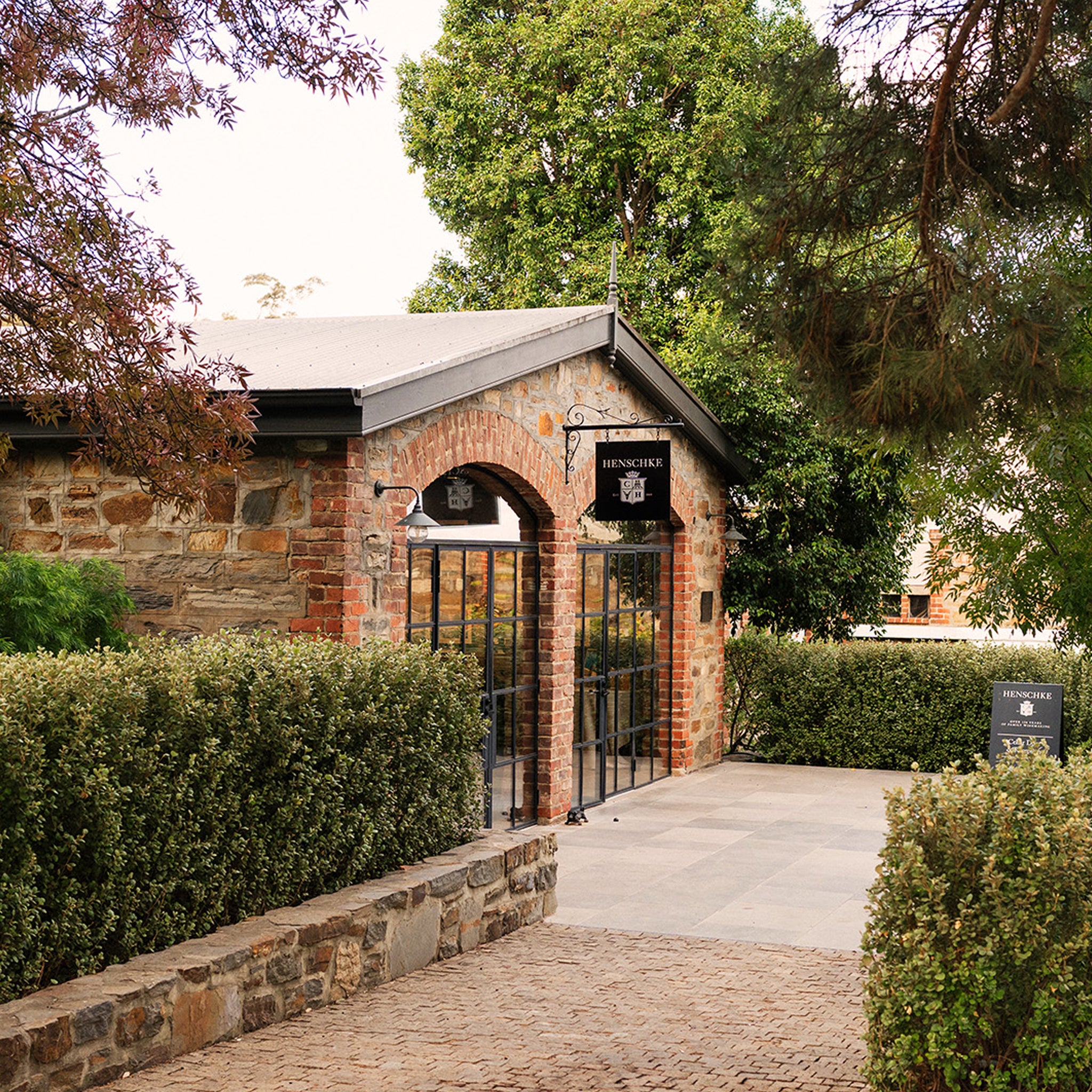 Henschke Innes Vineyard Pinot Gris 2025