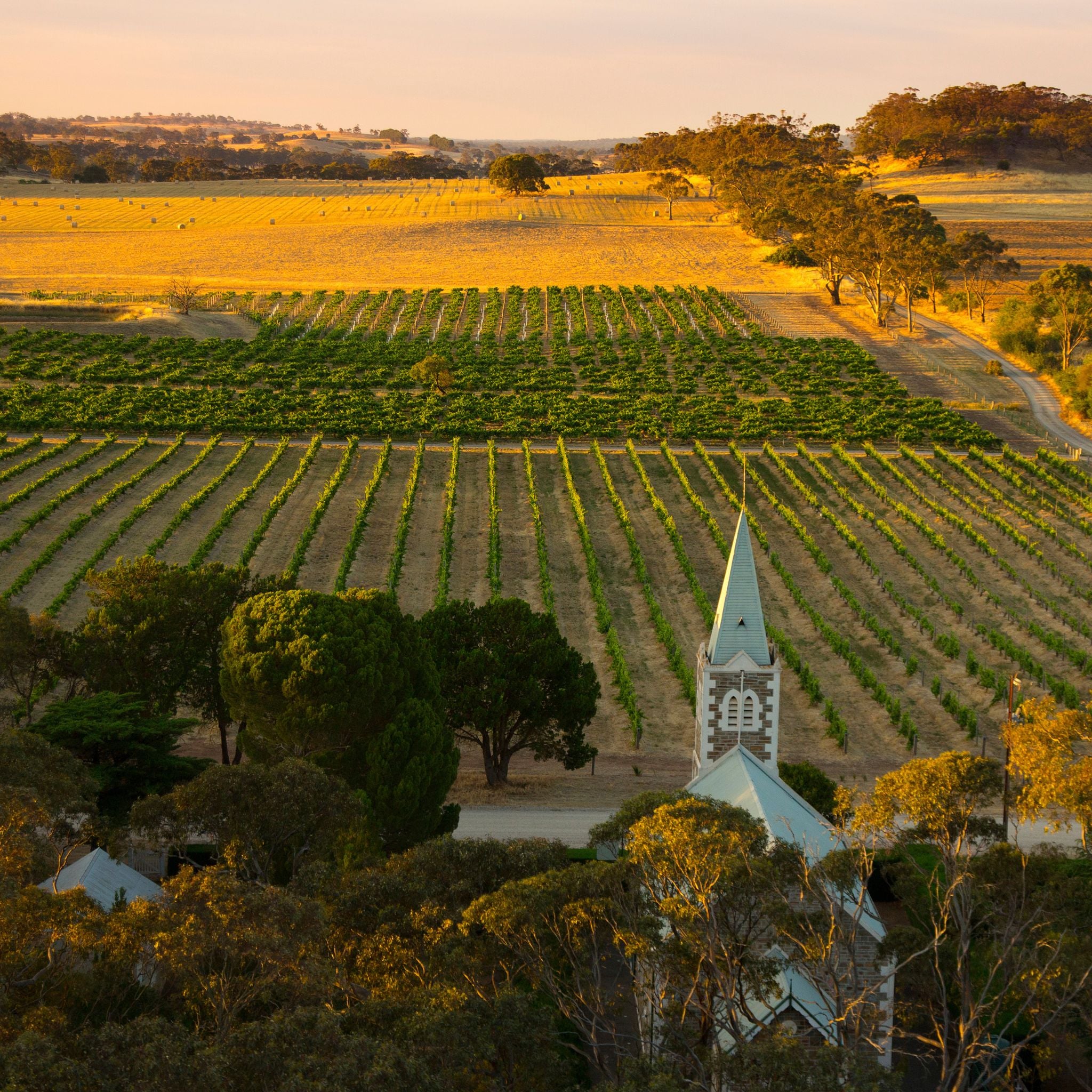 Henschke Cyril Henschke Cabernet Sauvignon 2022