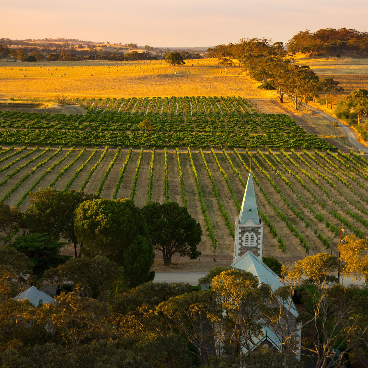 Henschke Hill of Roses Shiraz 2016