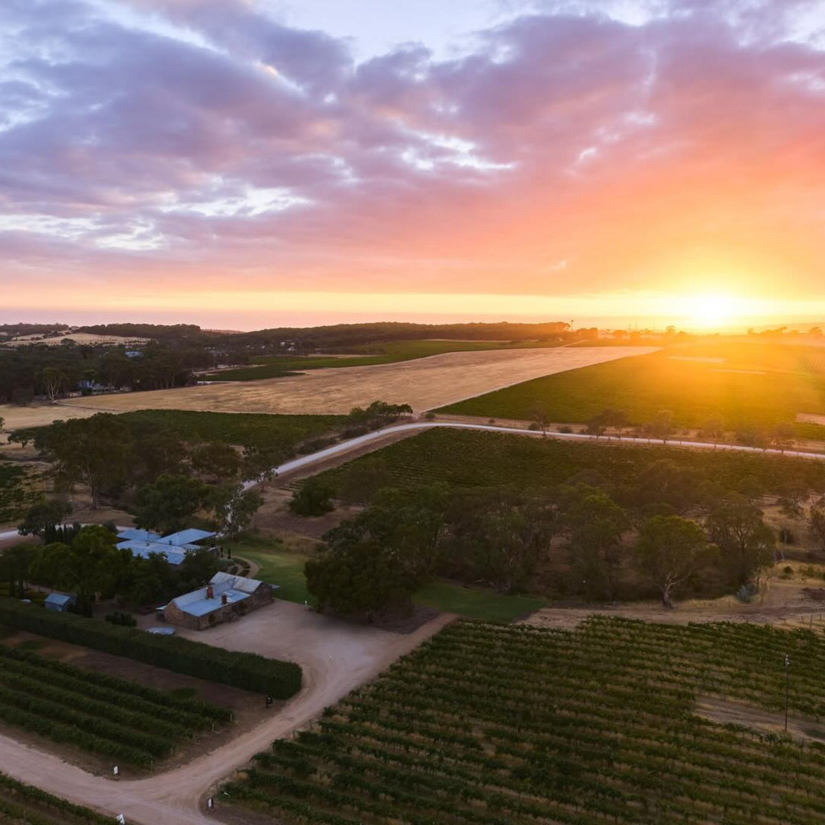Hentley Farm Riesling 2026