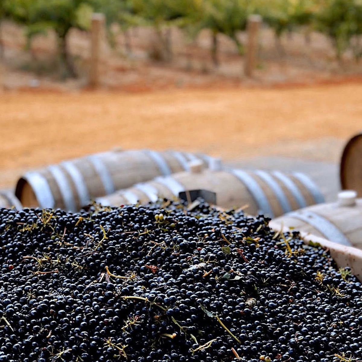 Hentley Farm The Old Legend Grenache 2024