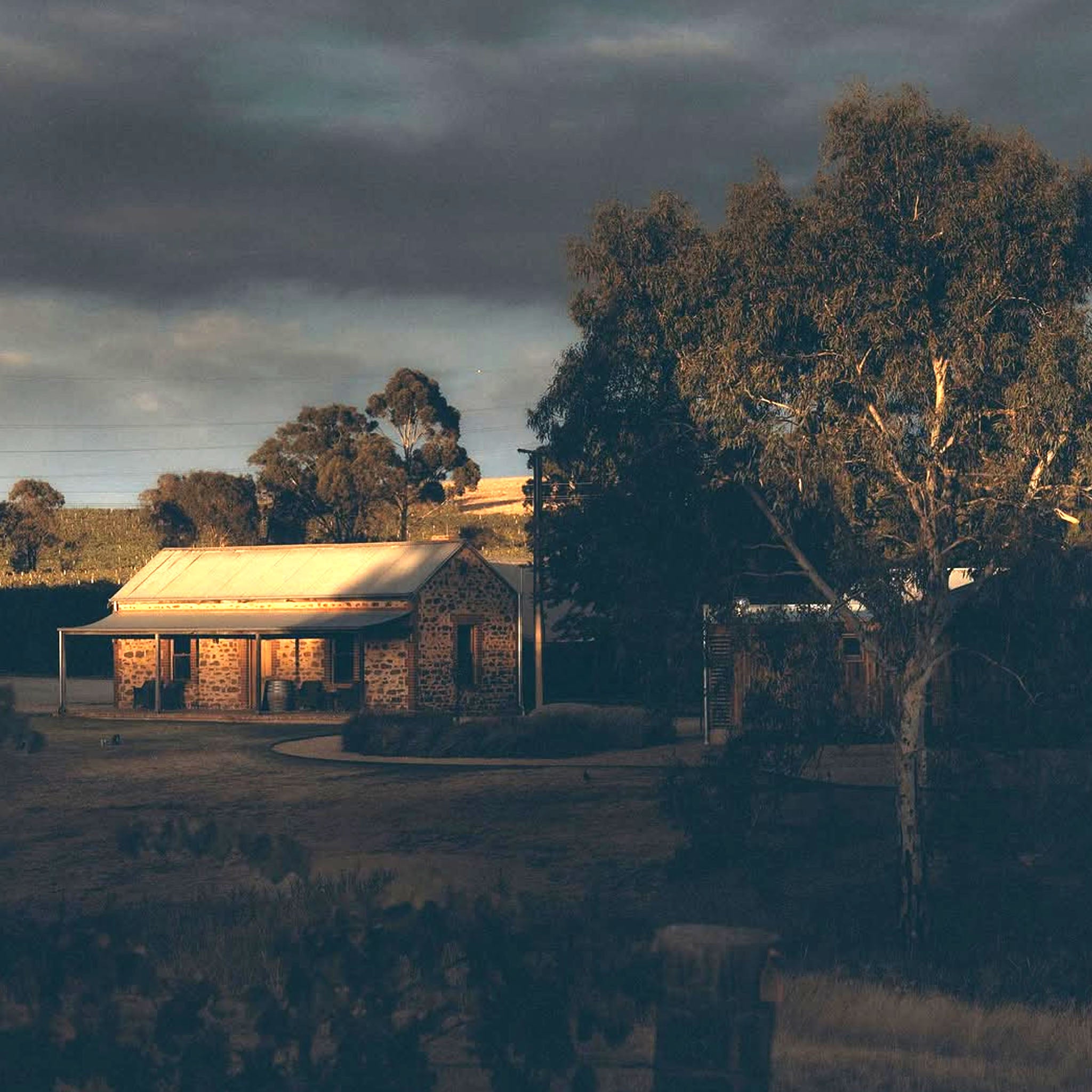 Hentley Farm Riesling 2025