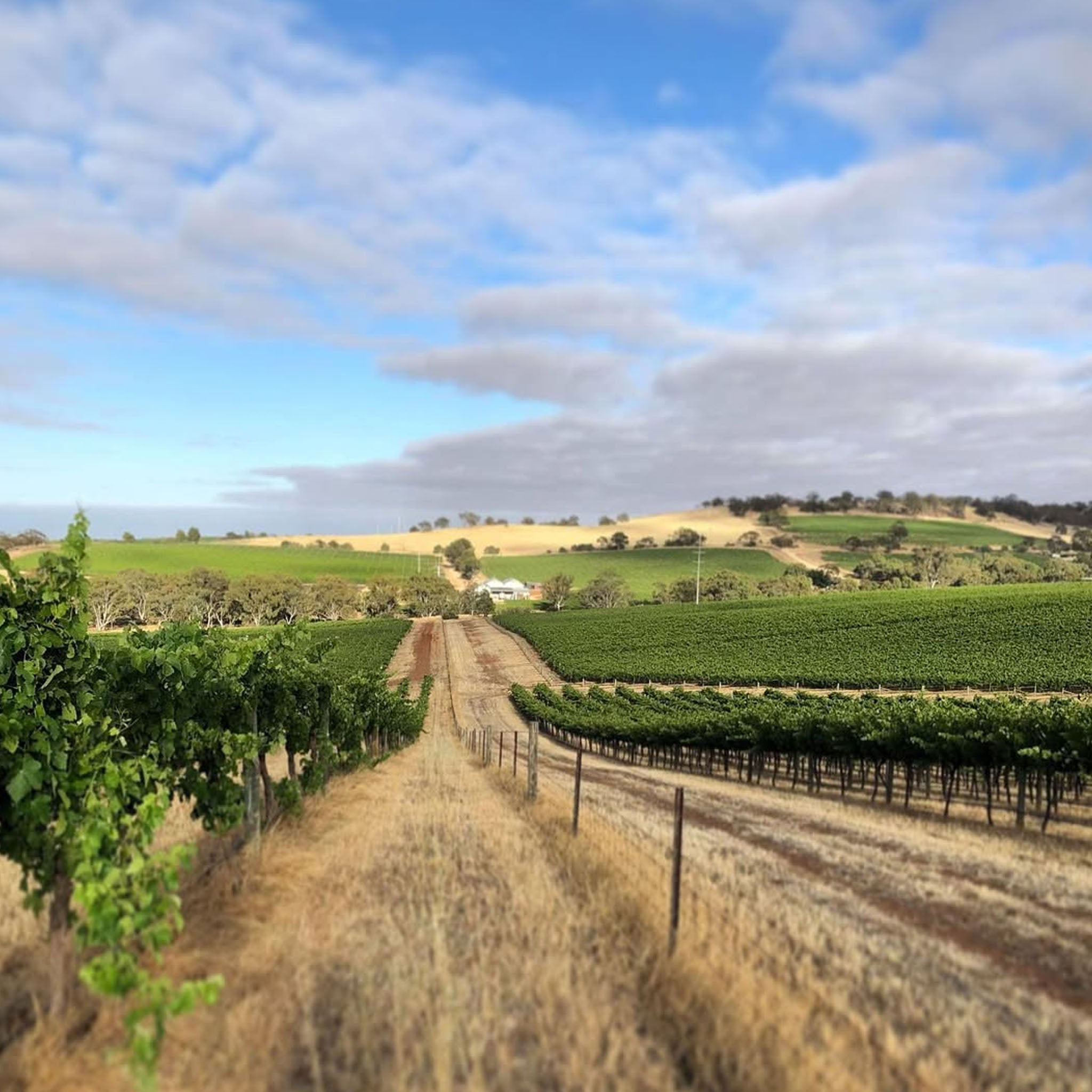 Hentley Farm Beauty & The Beast Shiraz 2023 Twin Set