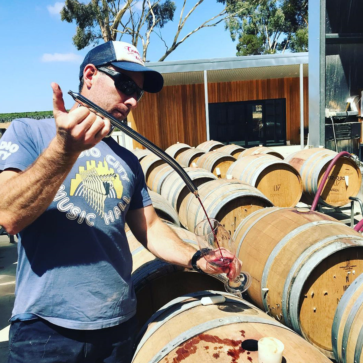Izway Don Shiraz 2015