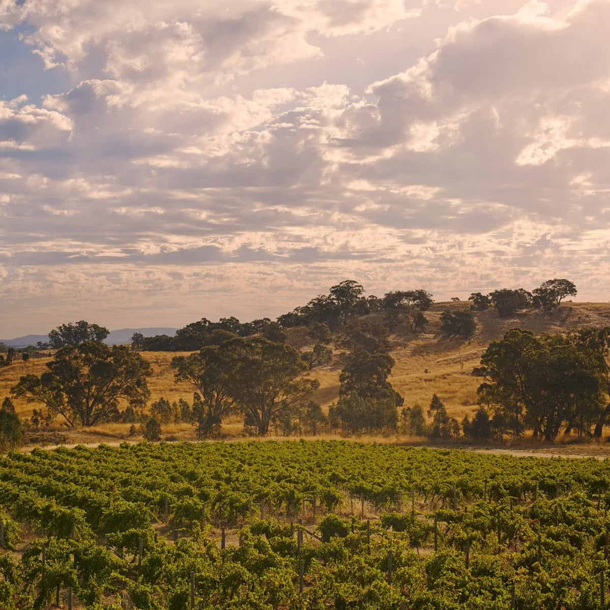 Jasper Hill Georgia's Paddock Shiraz 2025