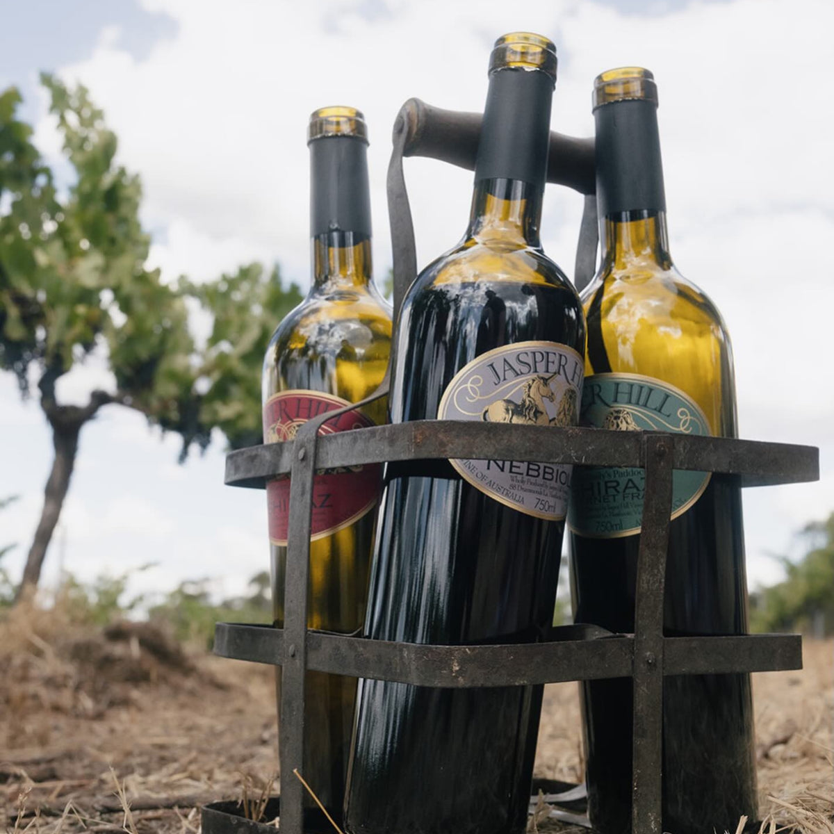 Jasper Hill Georgia's Paddock Riesling 2025