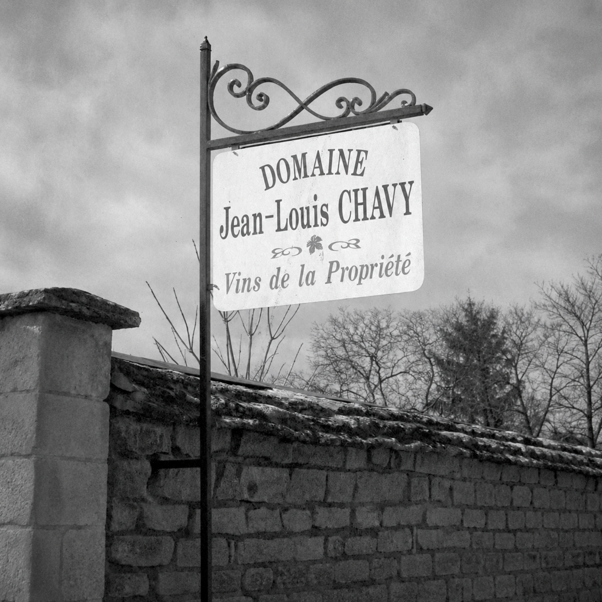 Domaine Jean-Louis Chavy 