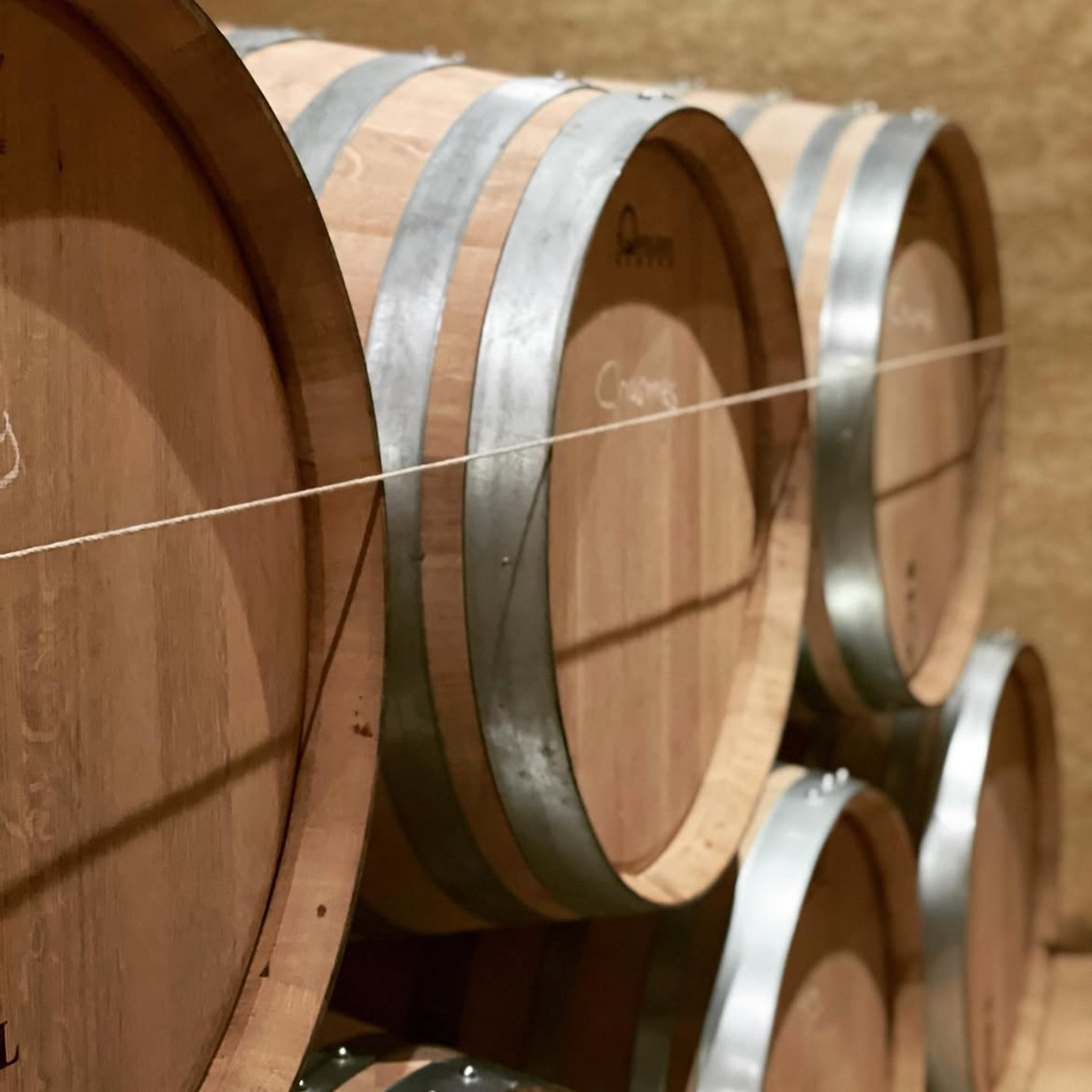 Domaine Jean-Louis Chavy Puligny Montrachet 2024