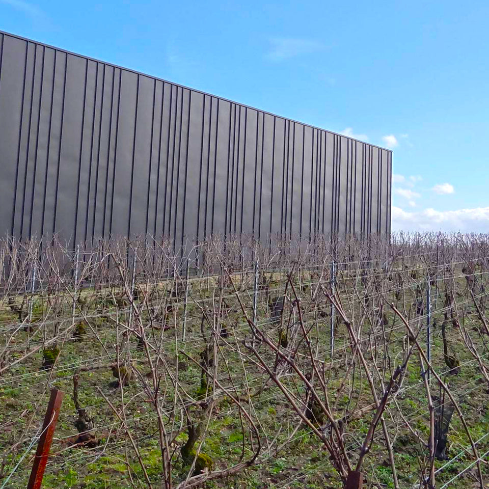 The Vineyard brand story