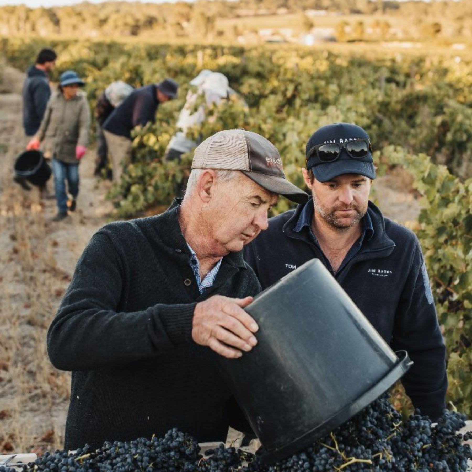 Jim Barry The Armagh Shiraz 2006