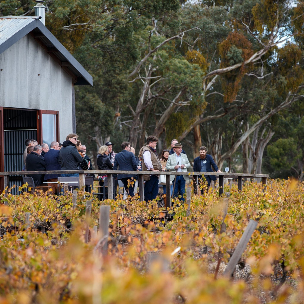 Jim Barry The Armagh Shiraz 2006