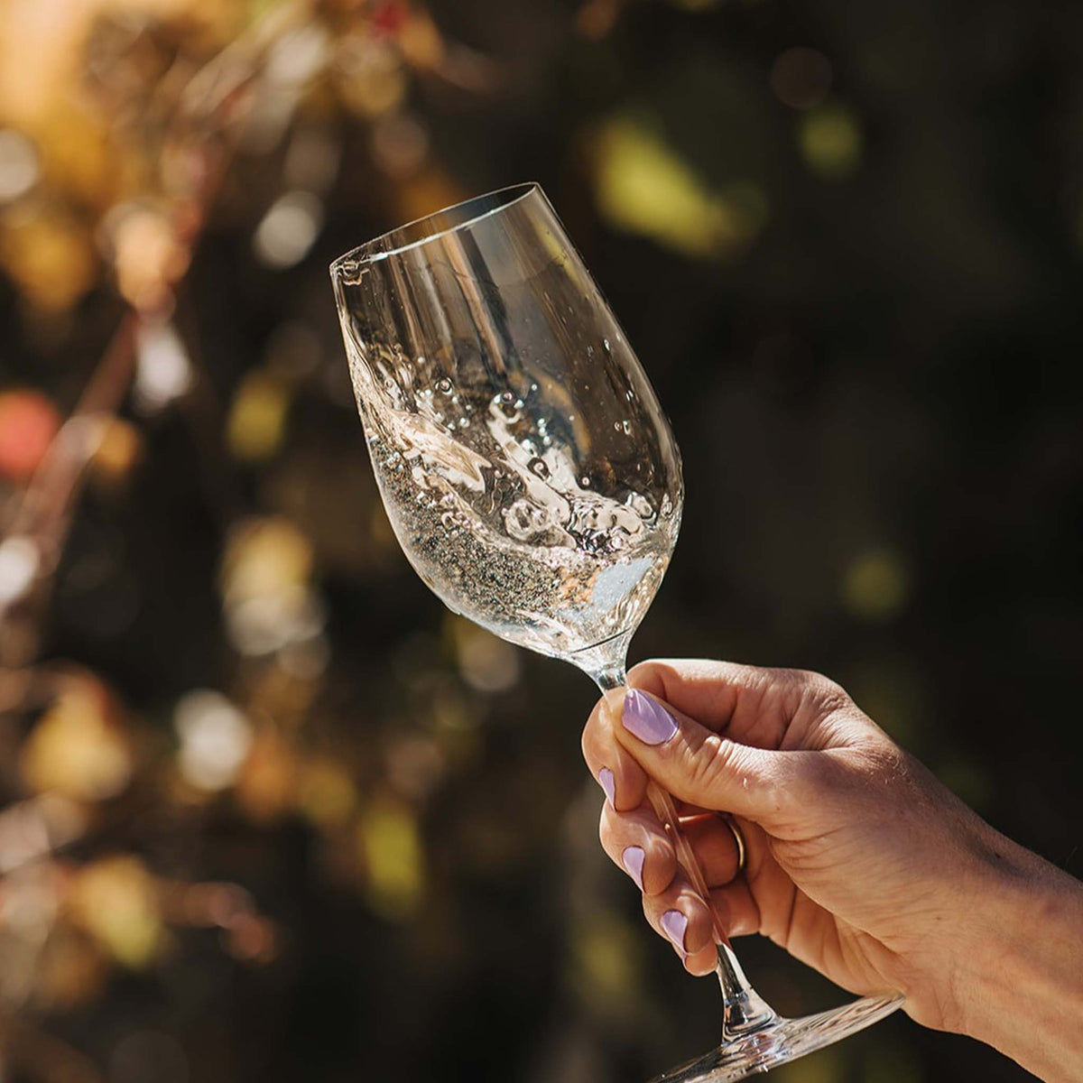 Jim Barry Florita Riesling 2025