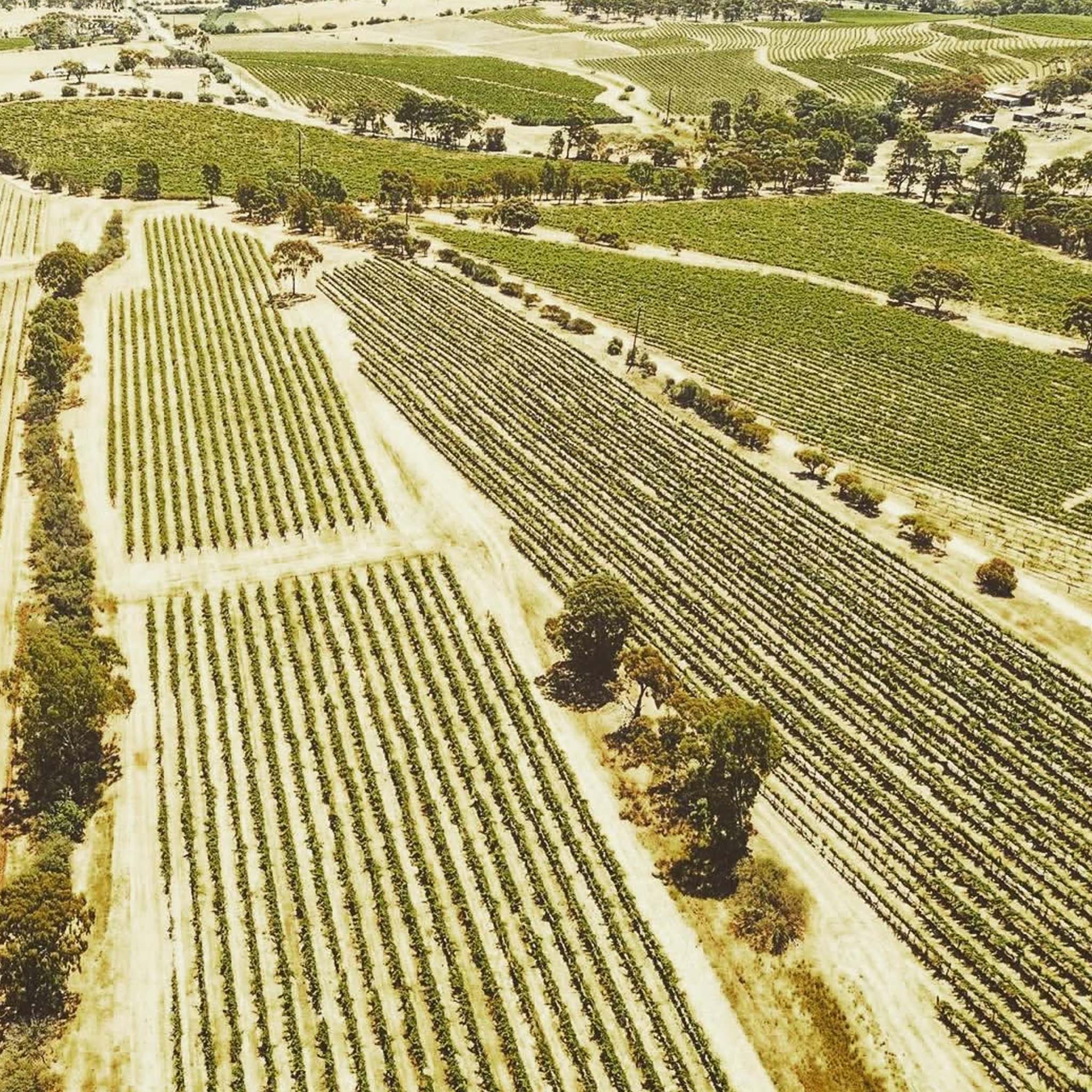 Jim Barry Assyrtiko 2025