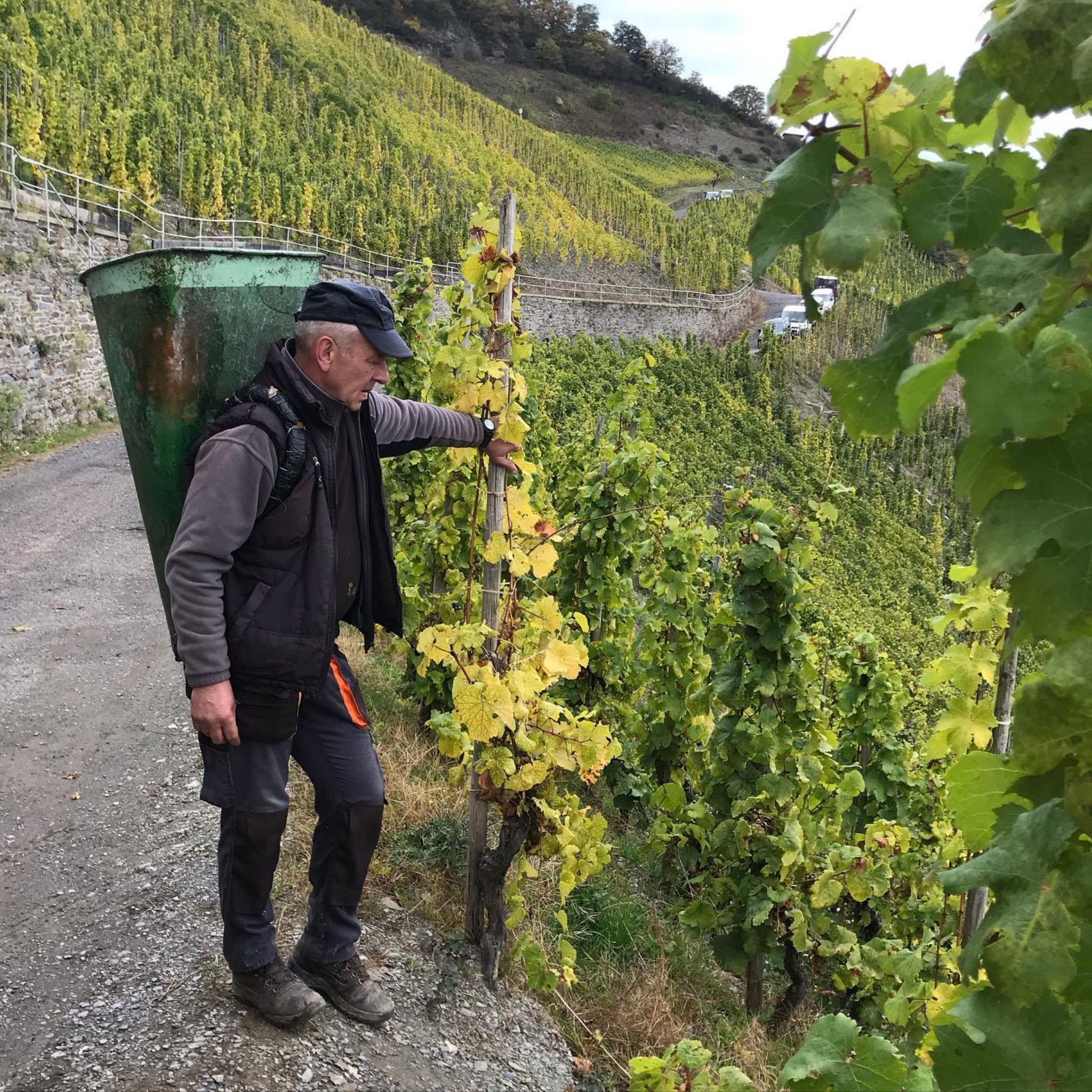 Joh Jos Prüm Wehlener Sonnenuhr Riesling Spätlese 2024