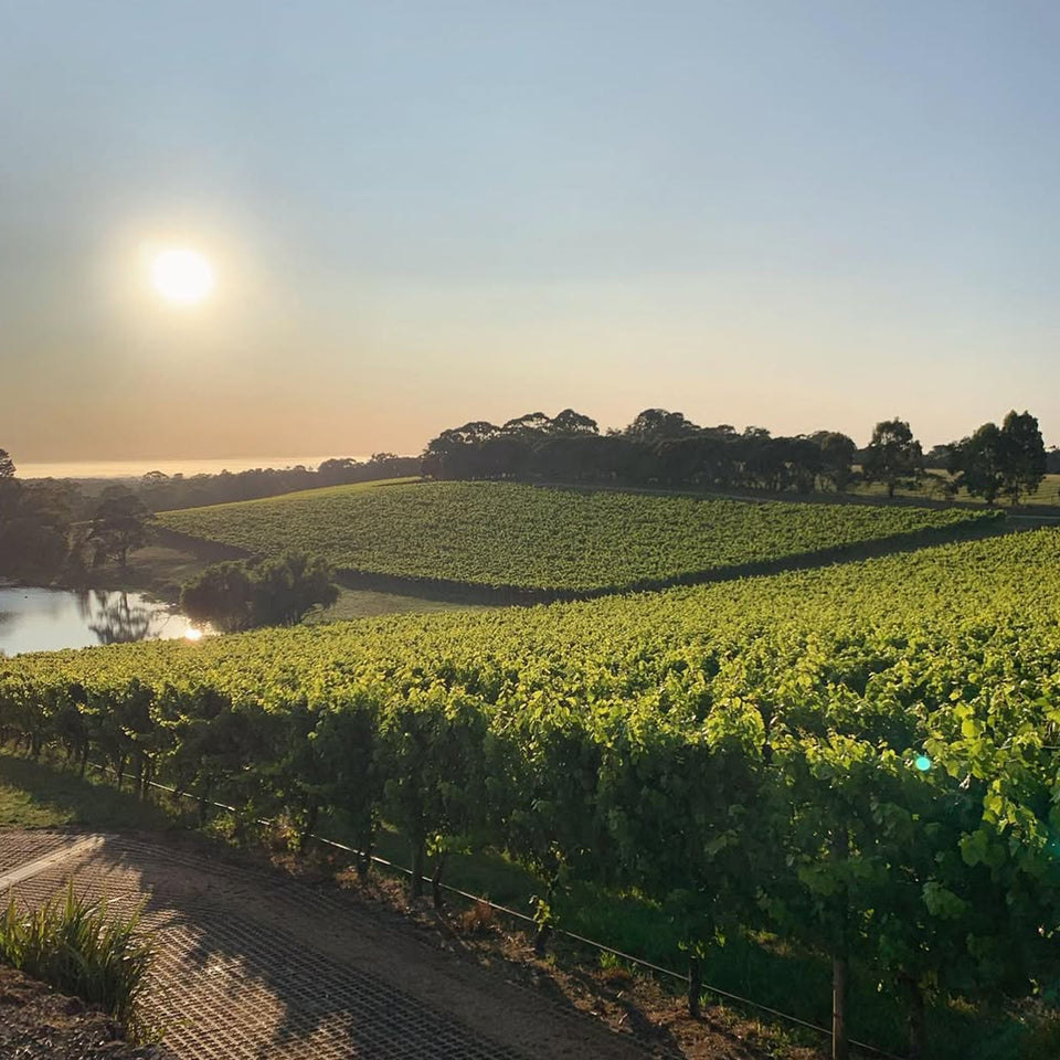 Kooyong Estate brand story
