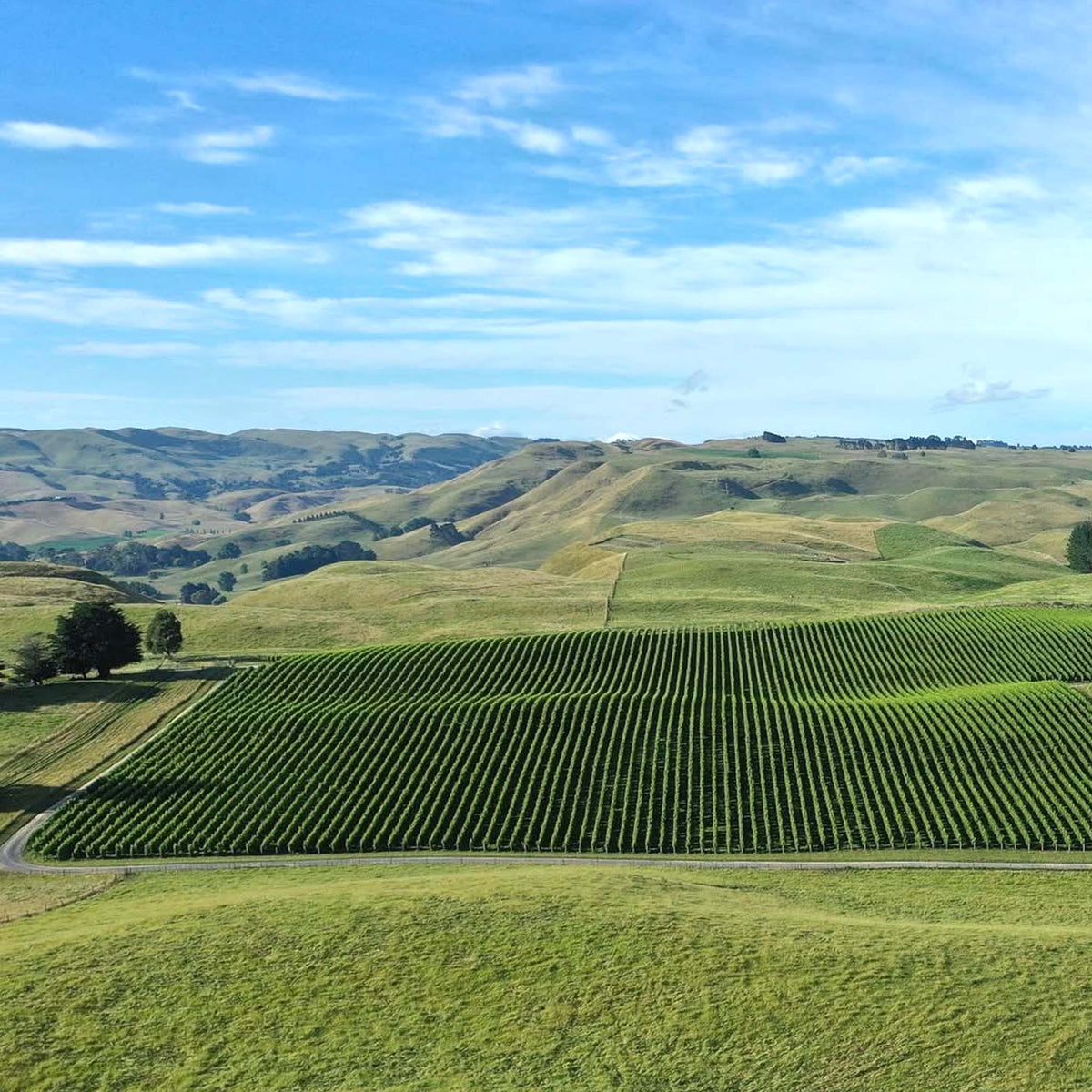 Kumeu Village Chardonnay 2025