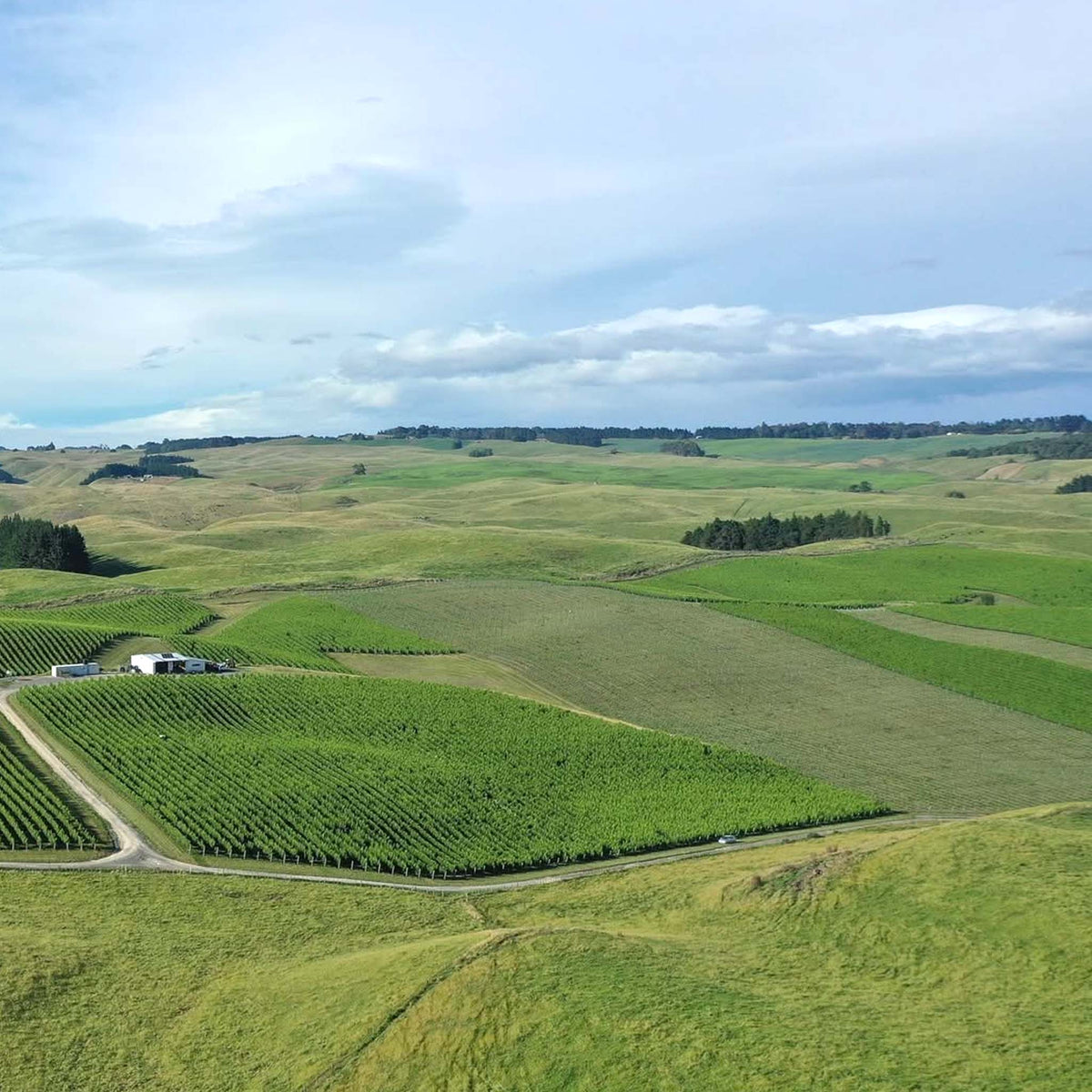 Kumeu Village Chardonnay 2025