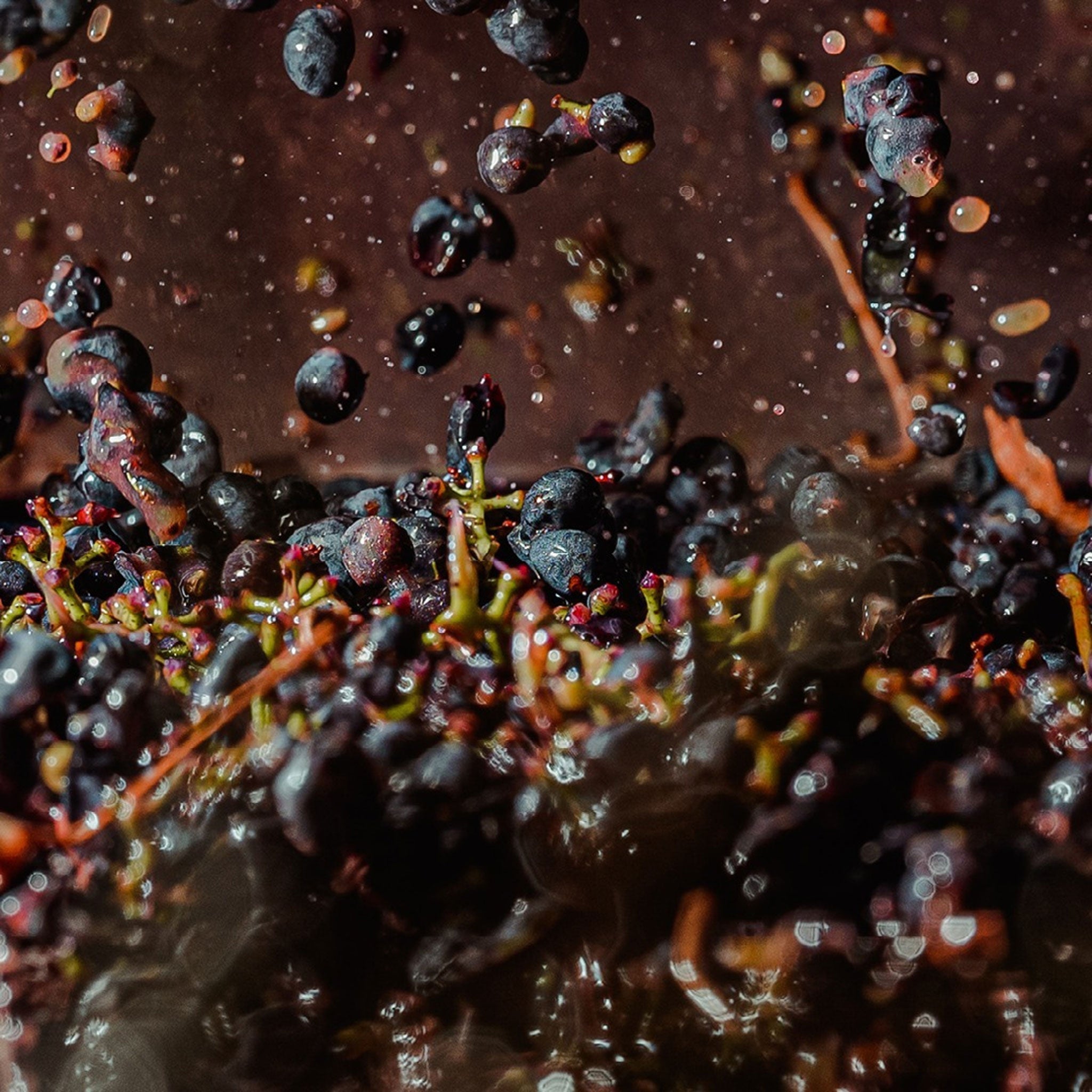 Ravensworth Syrah 2023
