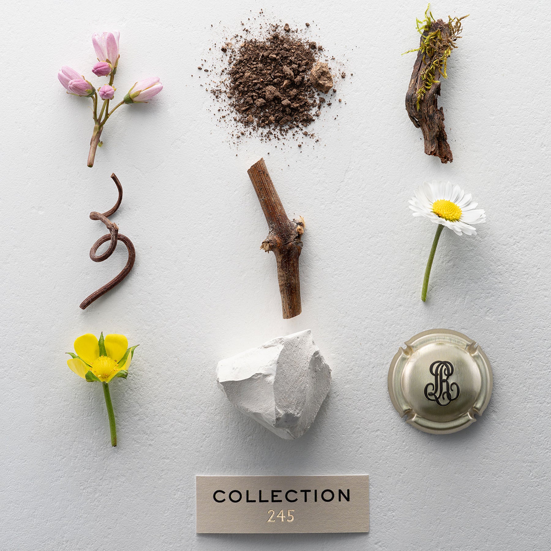 Louis Roederer Collection 245 NV