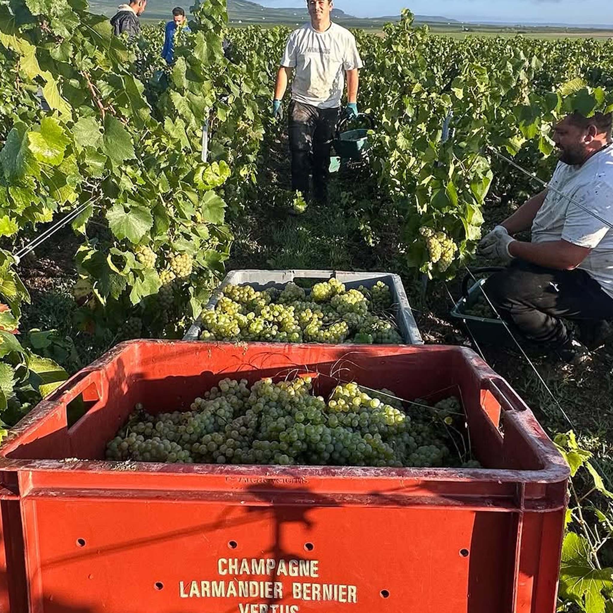 Larmandier-Bernier Latitude Blanc de Blancs Extra-Brut NV 1.5L