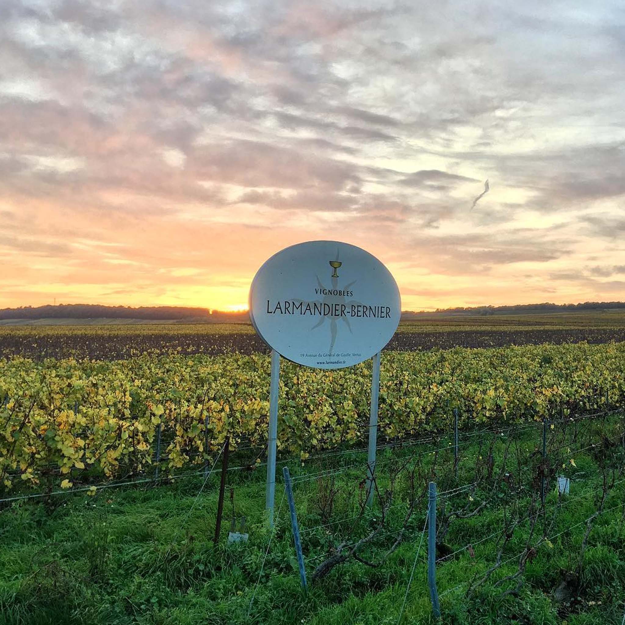 Larmandier-Bernier Latitude Blanc de Blancs Extra-Brut NV 1.5L