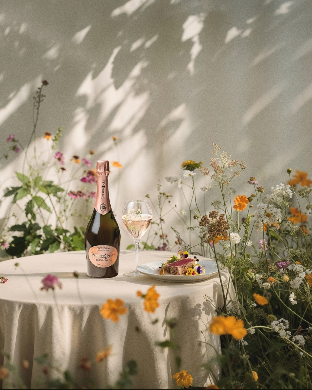 Shop Champagne & Sparkling
