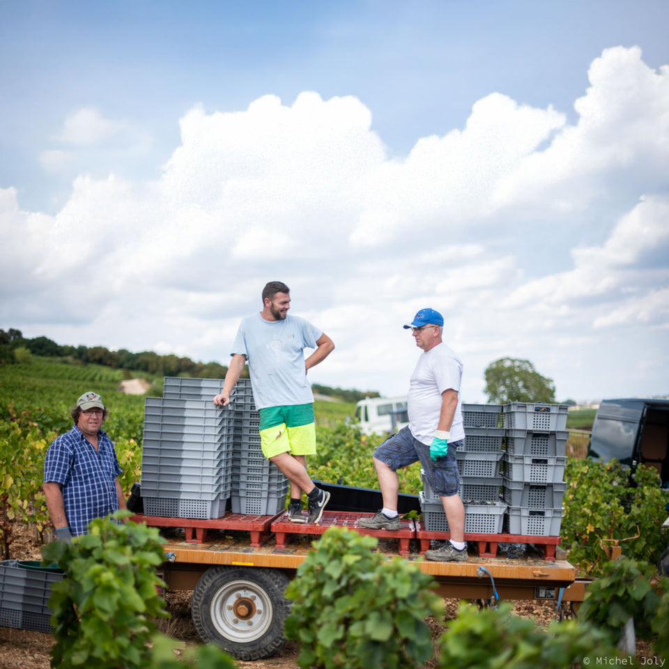 Domaine Lignier-Michelot brand story